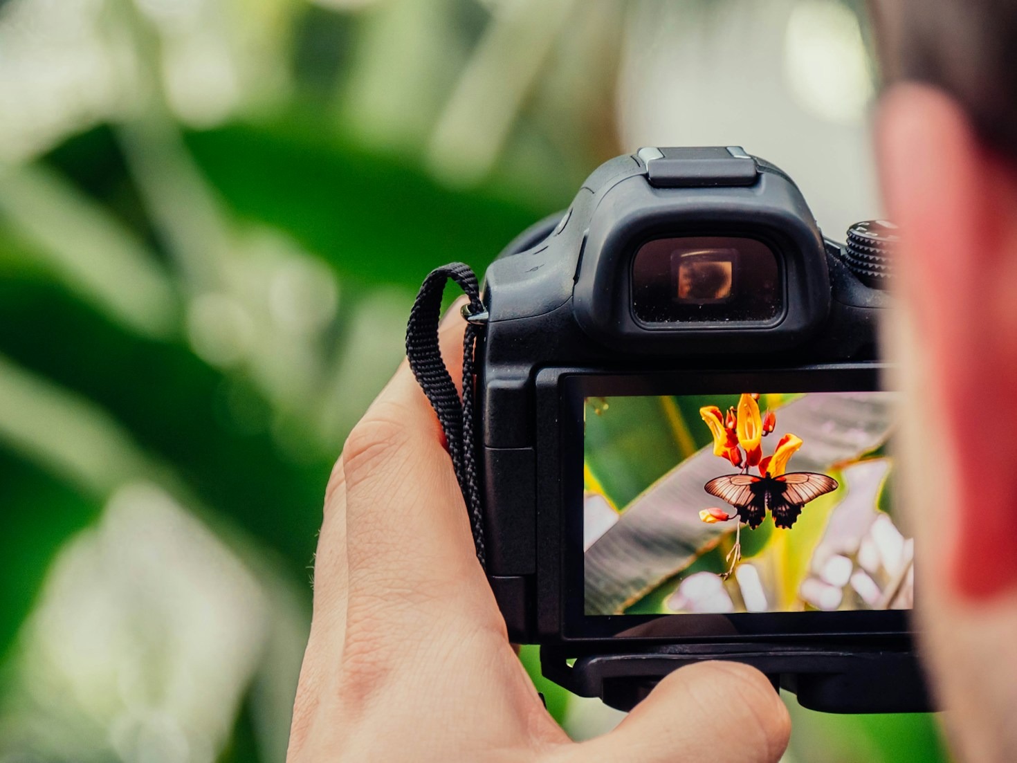 The Story Behind Stunning Photography Collections