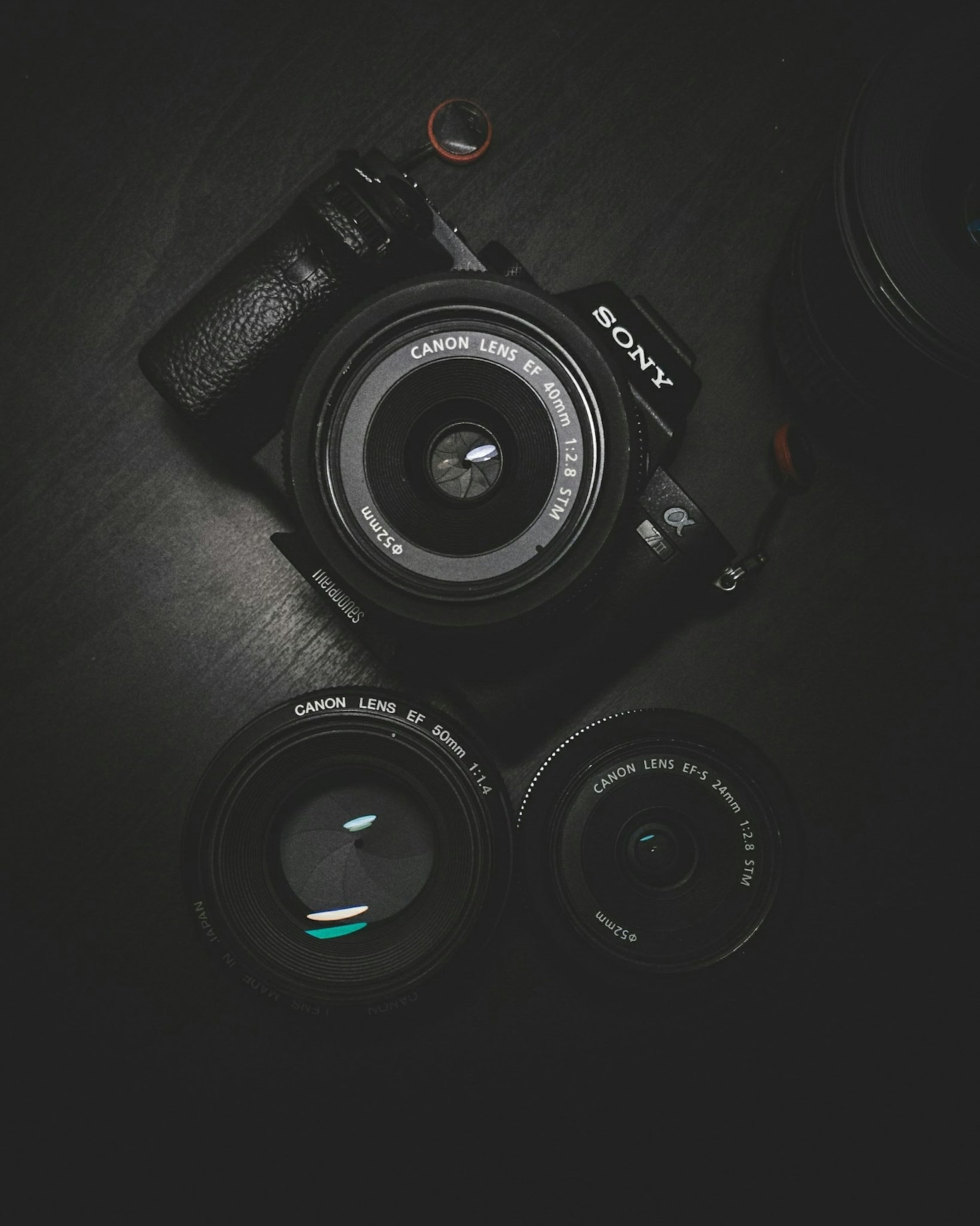 Creative Perspectives: A Photographer’s Vision